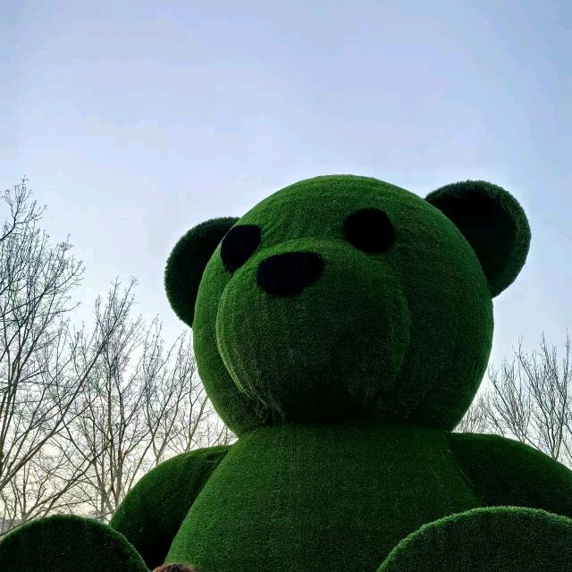 苗儿