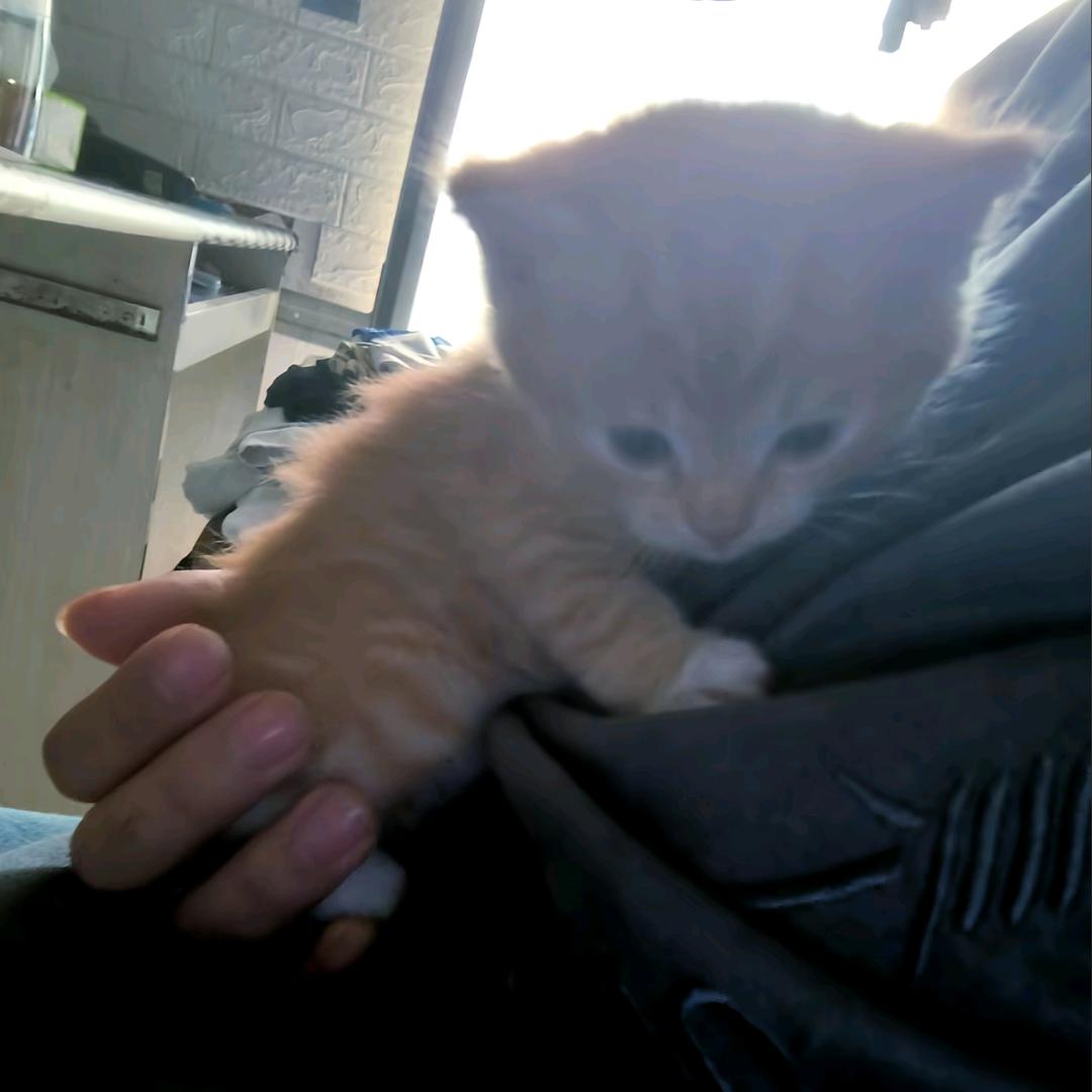 †4𝘀𝘂𝗸𝗮†