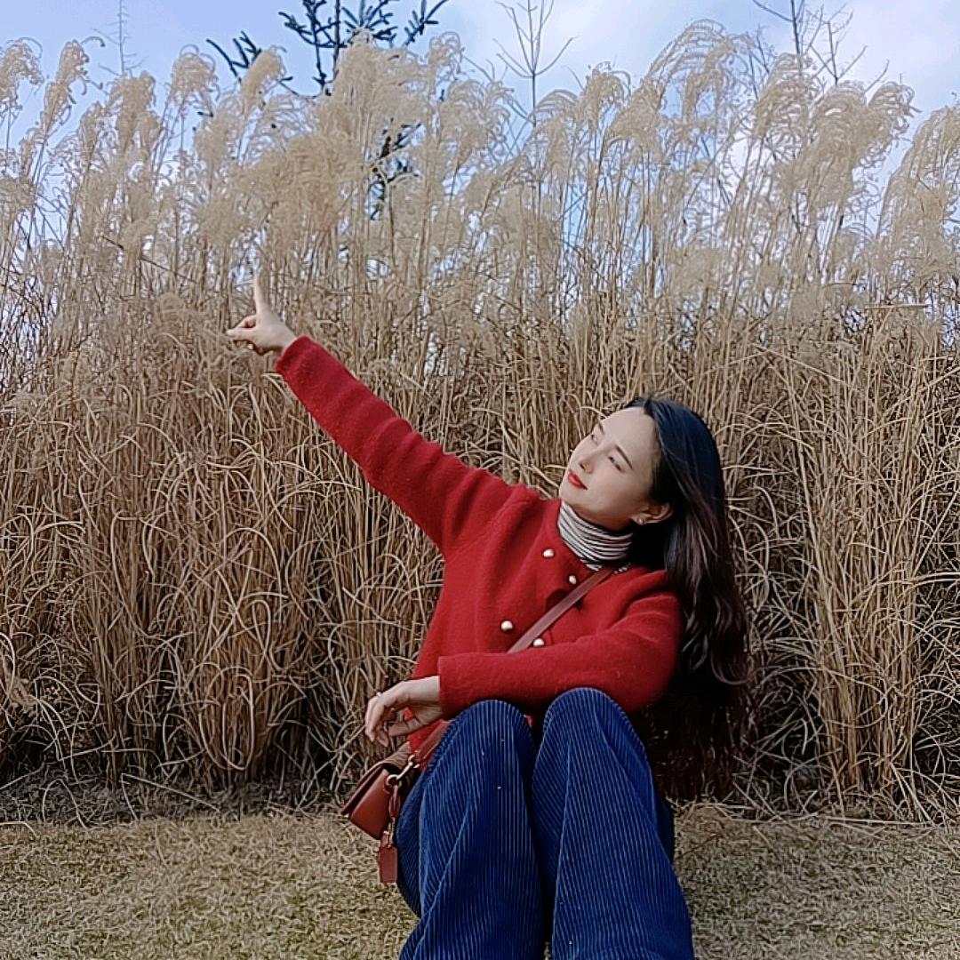 带刺的玫瑰