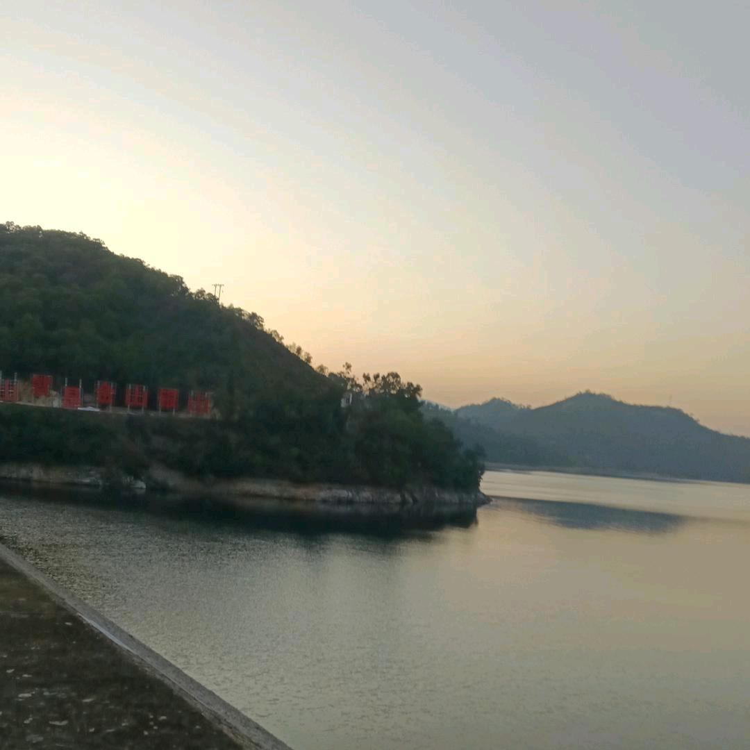 林哥哥