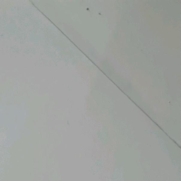 我姓张但不张狂