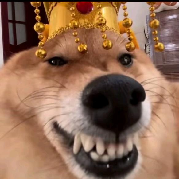 大梦几千秋