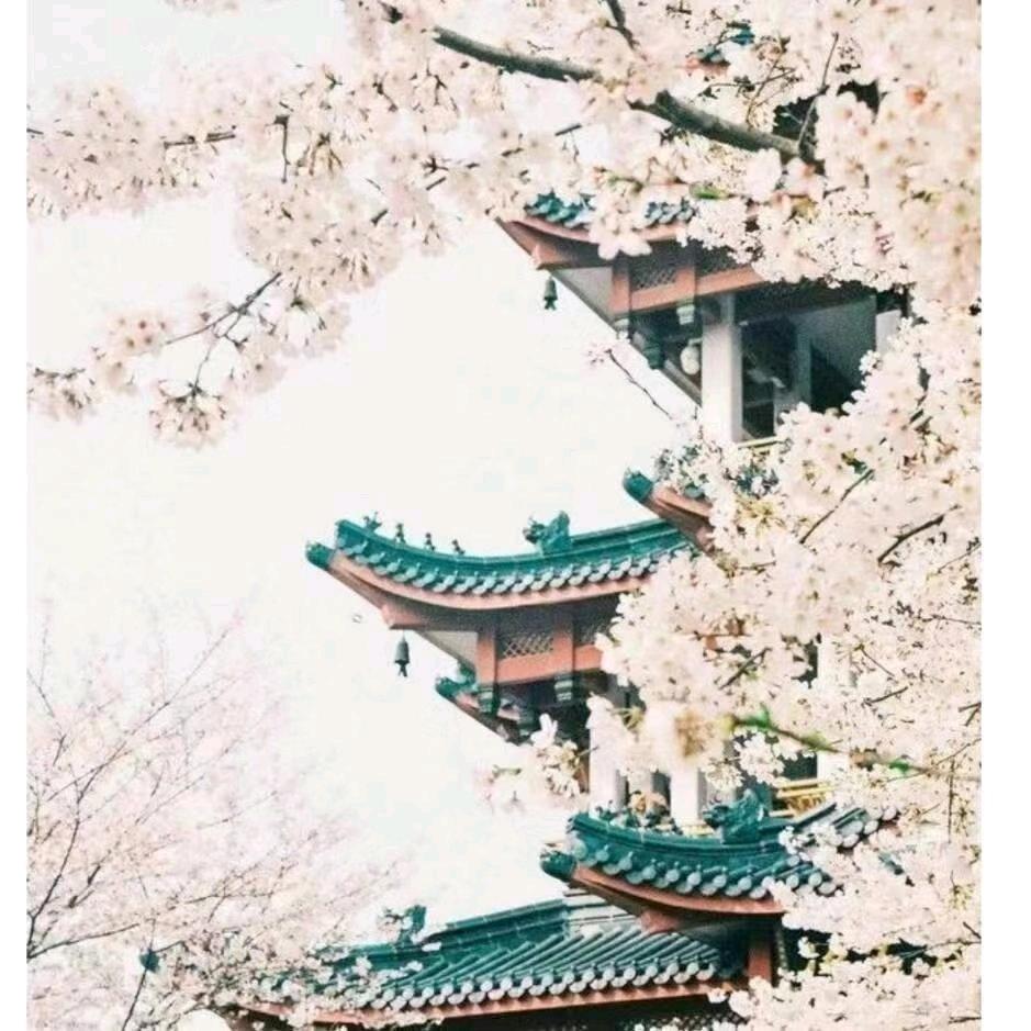 余生随心