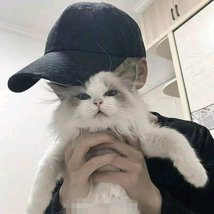 L໊ₒ释ᨶ႒ᩚ怀ᵥ̶ₑ̶ᩚ