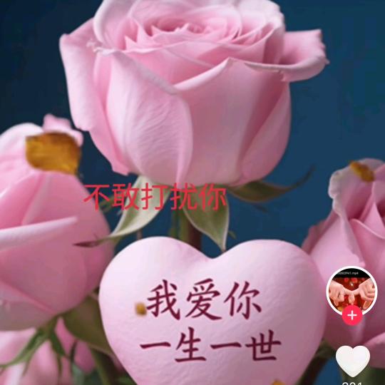 可惜我们相遇太晚