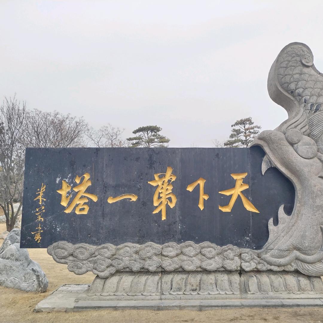 郑州金融刘