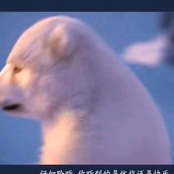 用户273255665