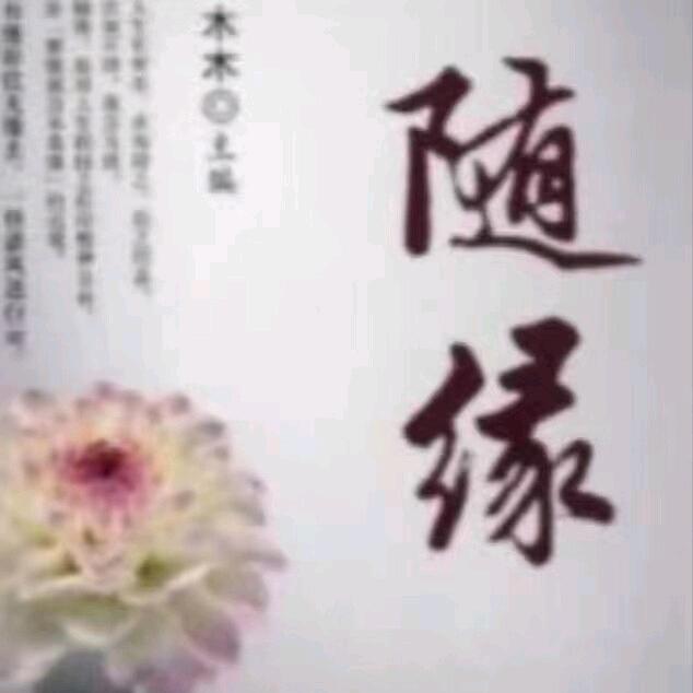 随缘🍃