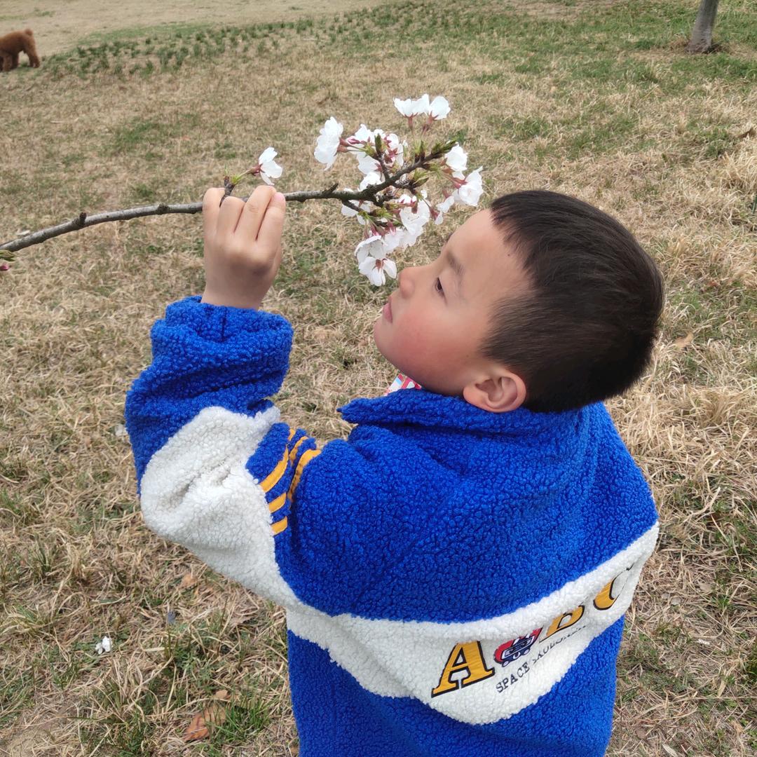 福气多多🌻