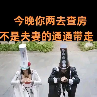 半生🔥归途