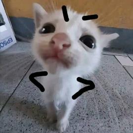 羊油（限流版😭）