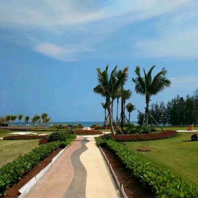 这个网名还不错！