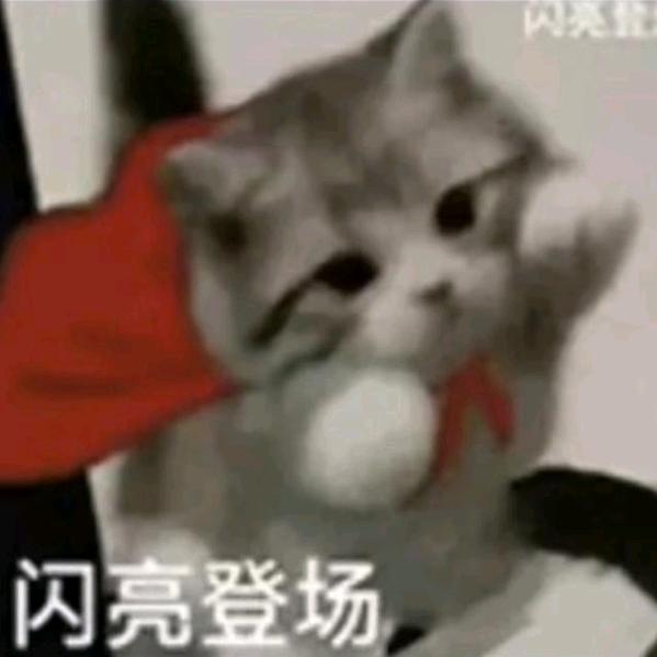 橙橙橙橙一颗橙子