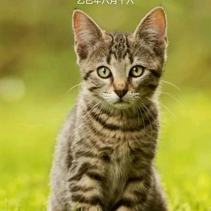 დ᭄ꦿ风一样的男人℘⸙