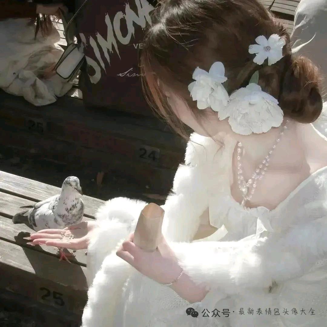 ʕ •ᴥ•ʔᰔᩚ.楠木✨⁎͜:⁛