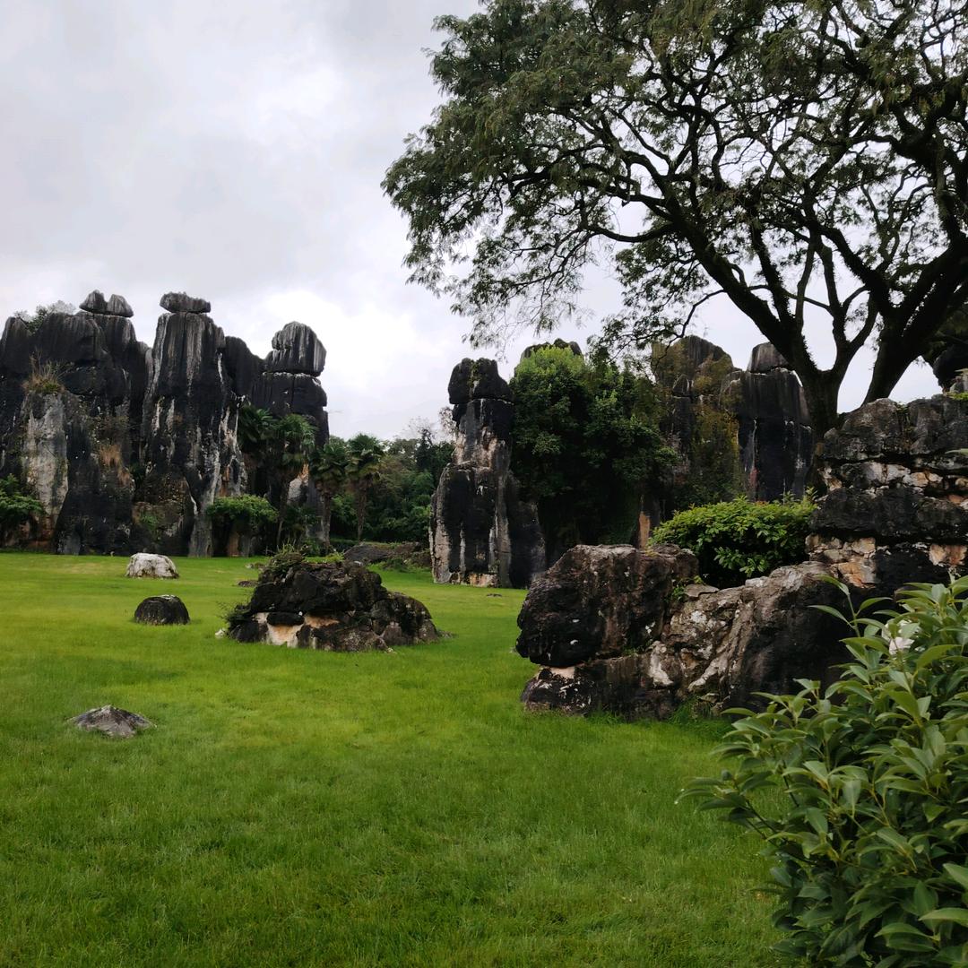 (｡･ω･｡)ﾉ♡劉🍎🍎🍎