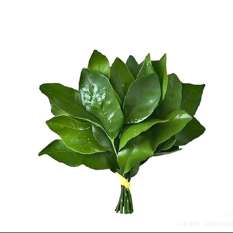 不爱吃甜的我