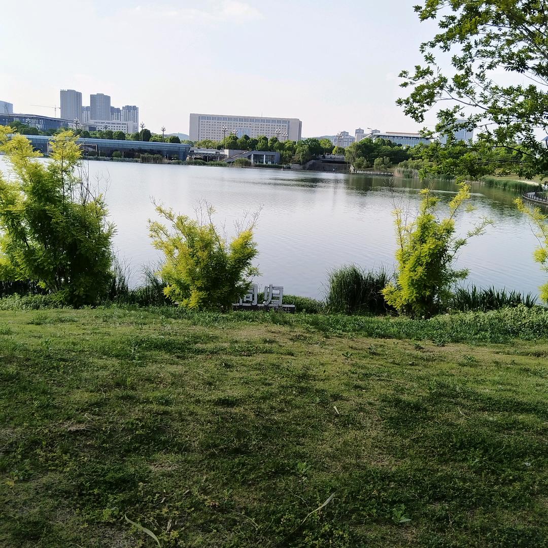 与你同在蓝天下