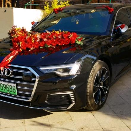 玩奥迪的雄鹰（Audi ）