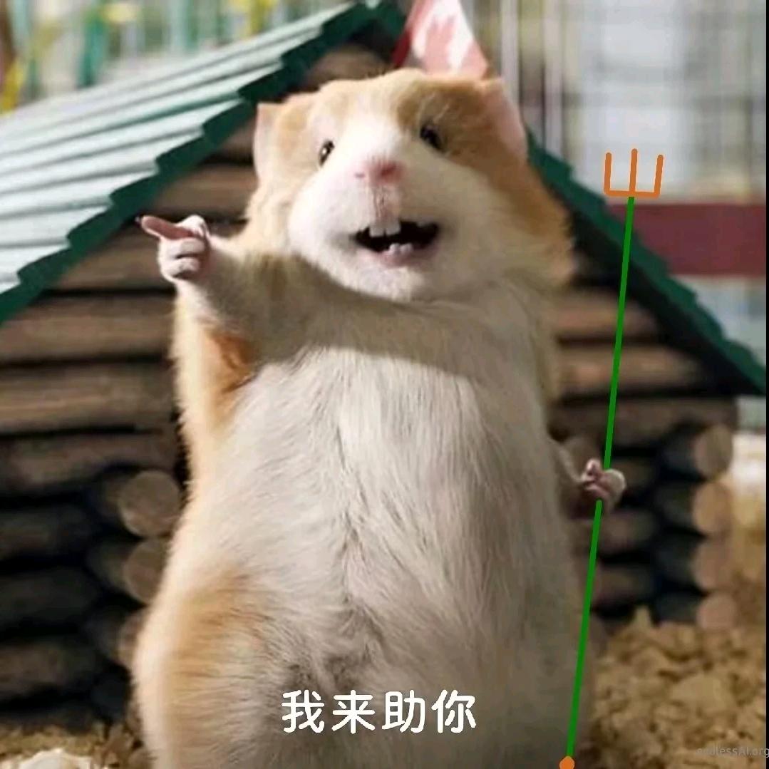 低调的靓仔