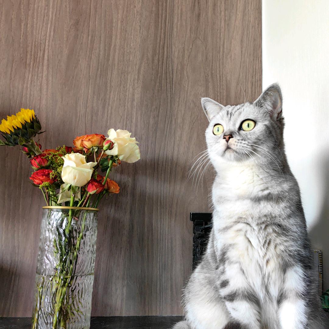 薇薇呀（14:30）