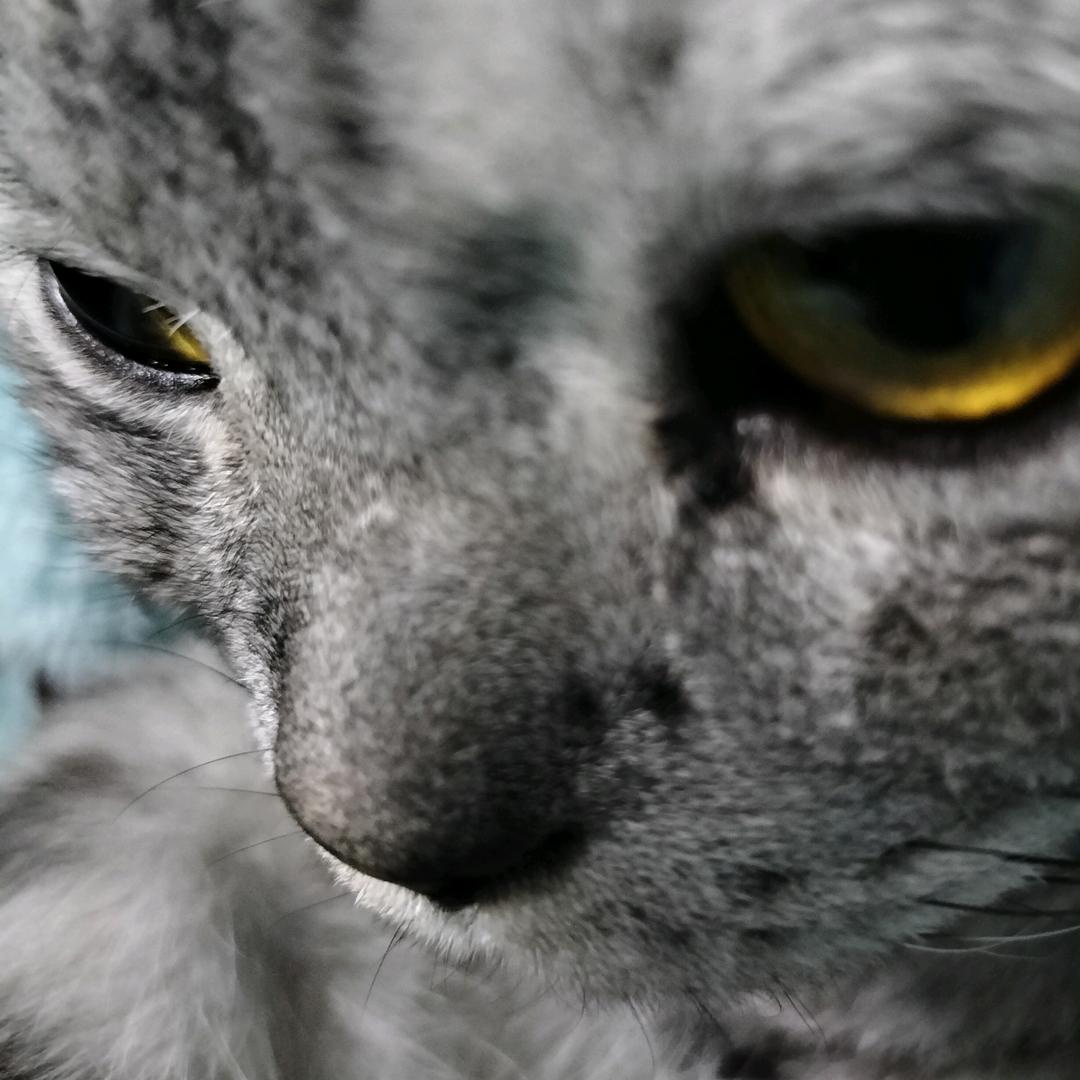 自动回复：嗯，好