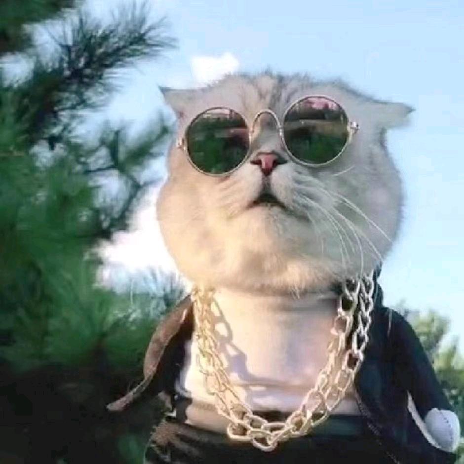 退网中，勿扰！