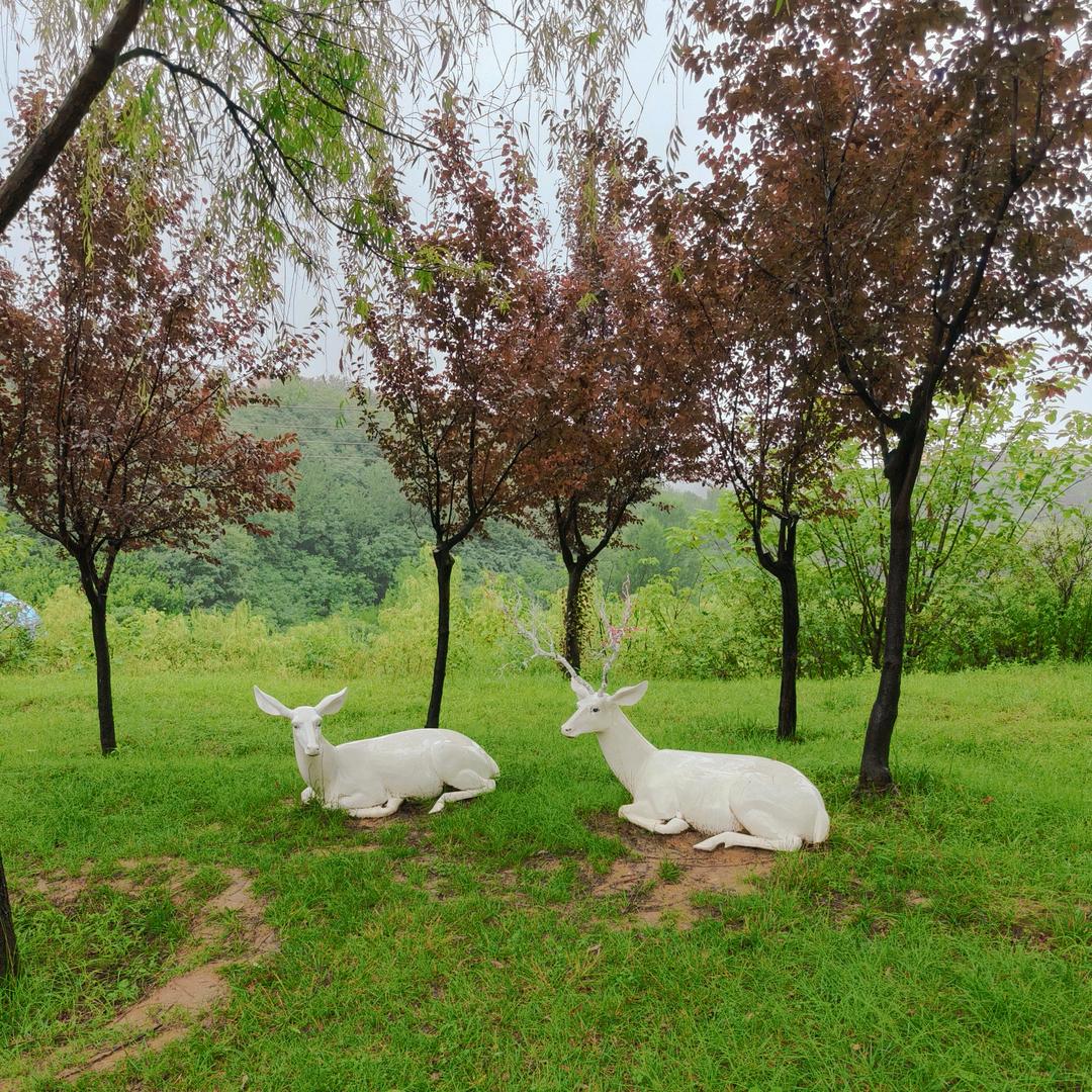 三岔村的小姐姐