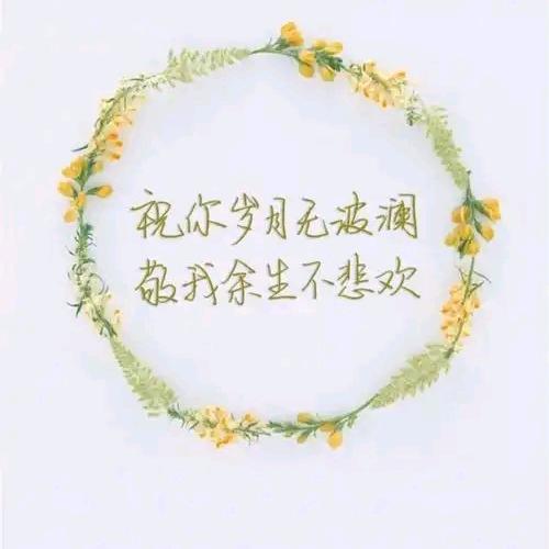 🌸🌺悠然🌺🌸