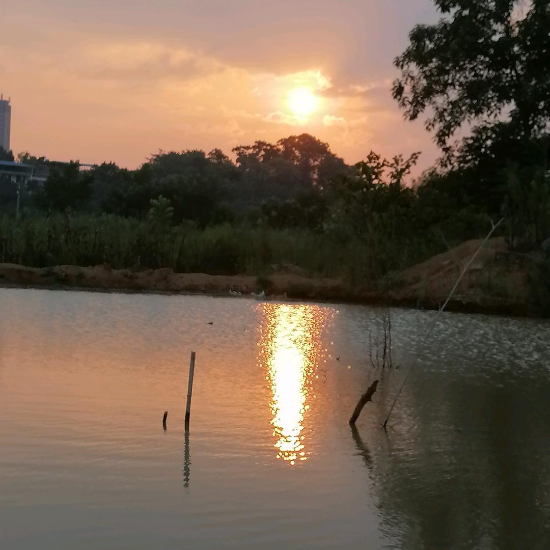 肖海龙