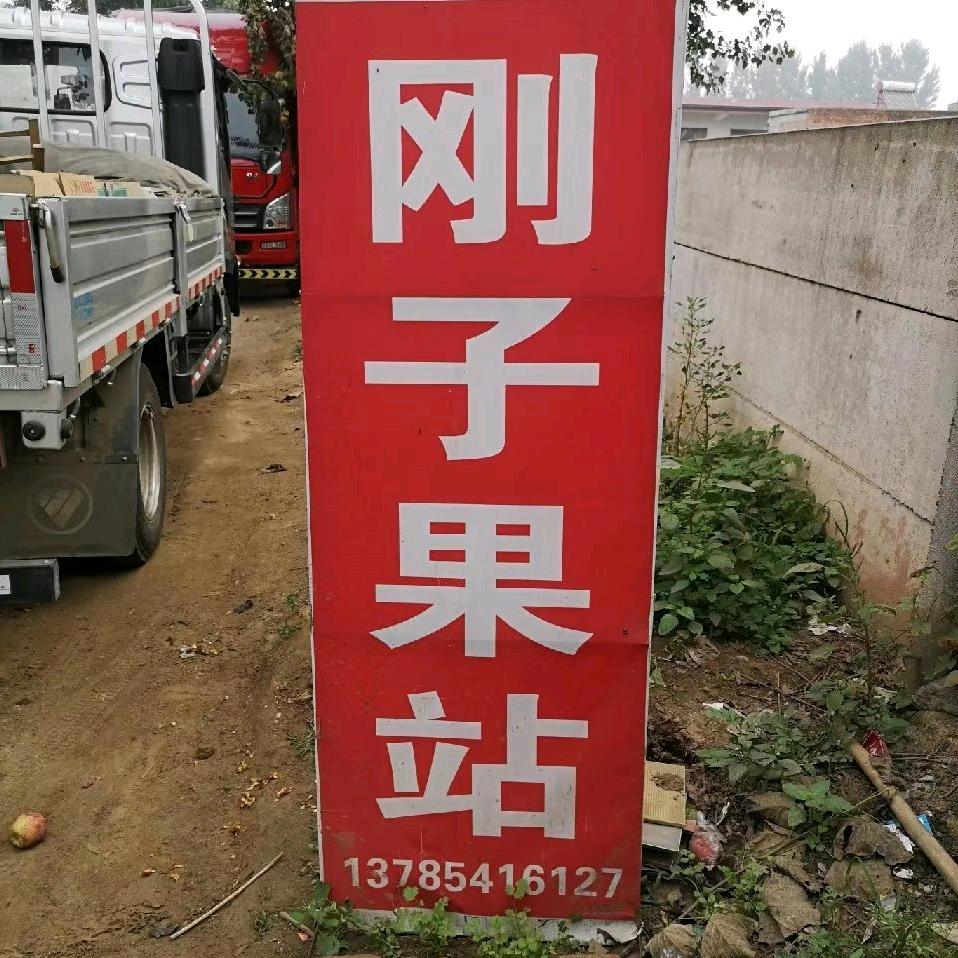 刚子果站（河北水果代收）