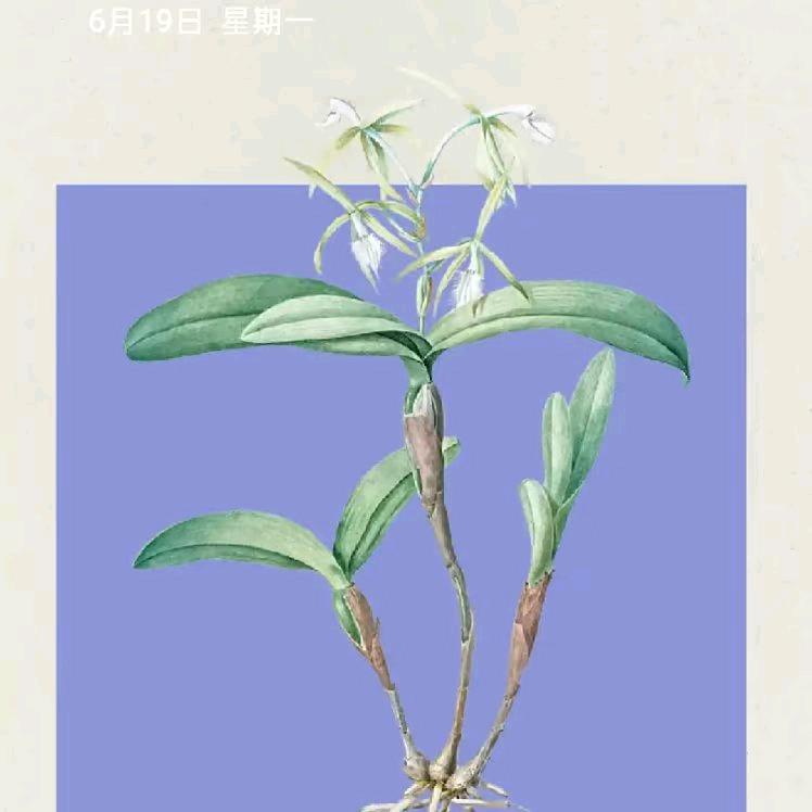 人字好写不好做
