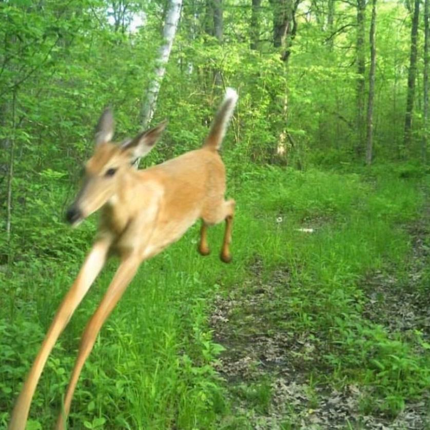 苔藓钢缆泡澡中