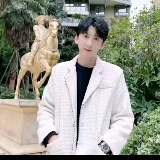 畢杰。佳人