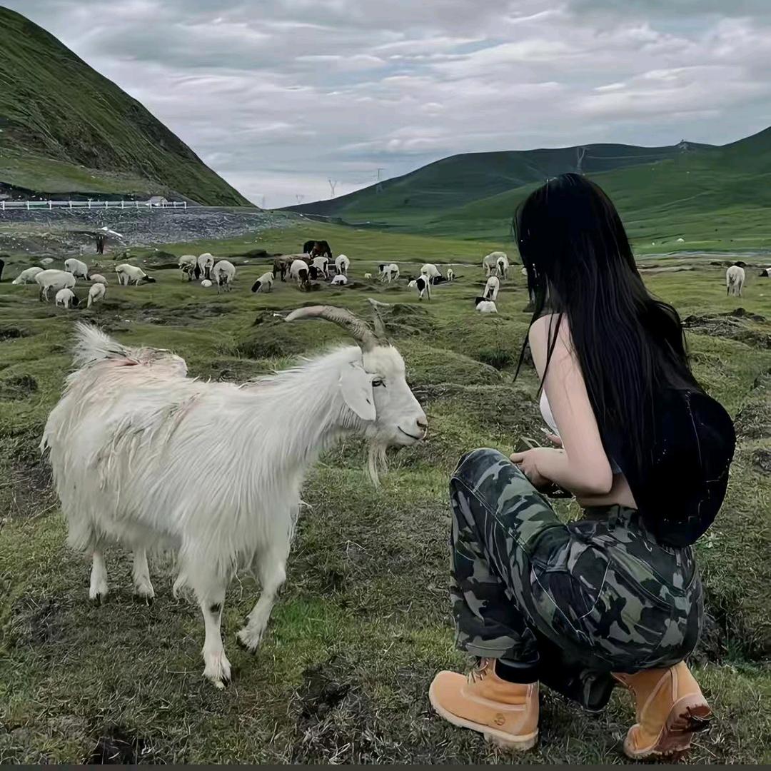 怀念
