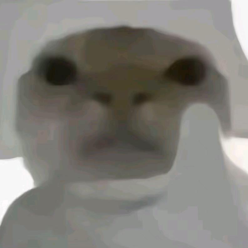 有能的丈夫