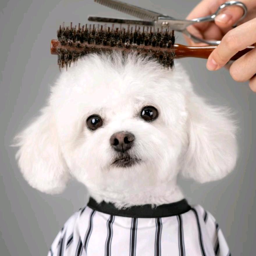 宠物联萌童话宠物服务园官方号