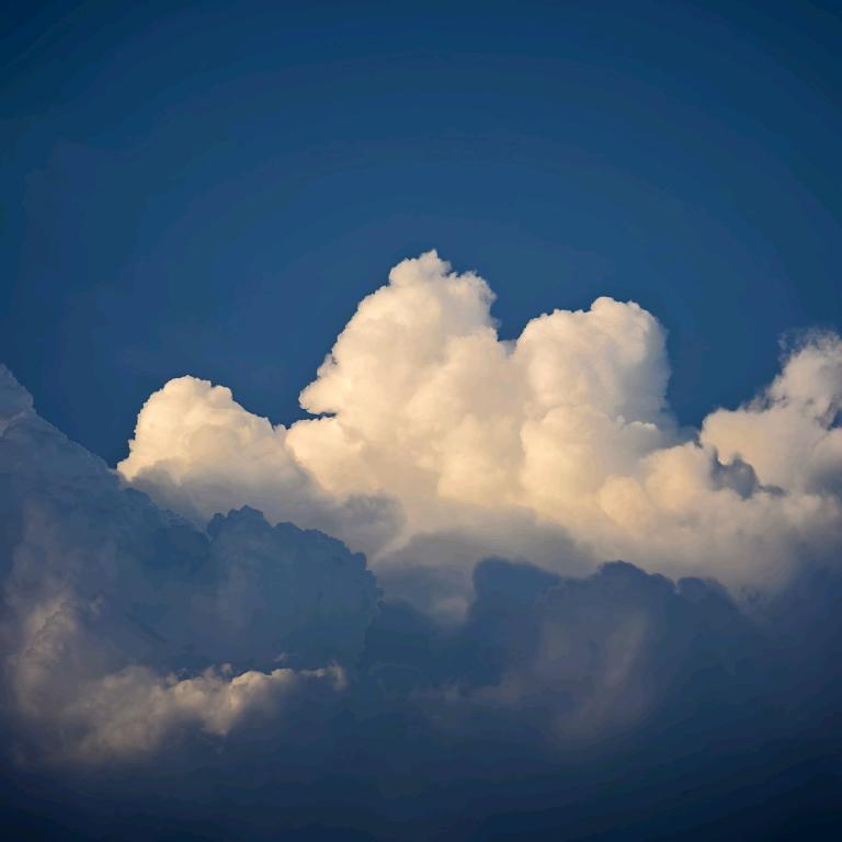 肥胖眼睛蛤蟆（无犯罪记录证明版）