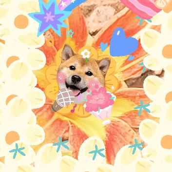 我真想不起名字