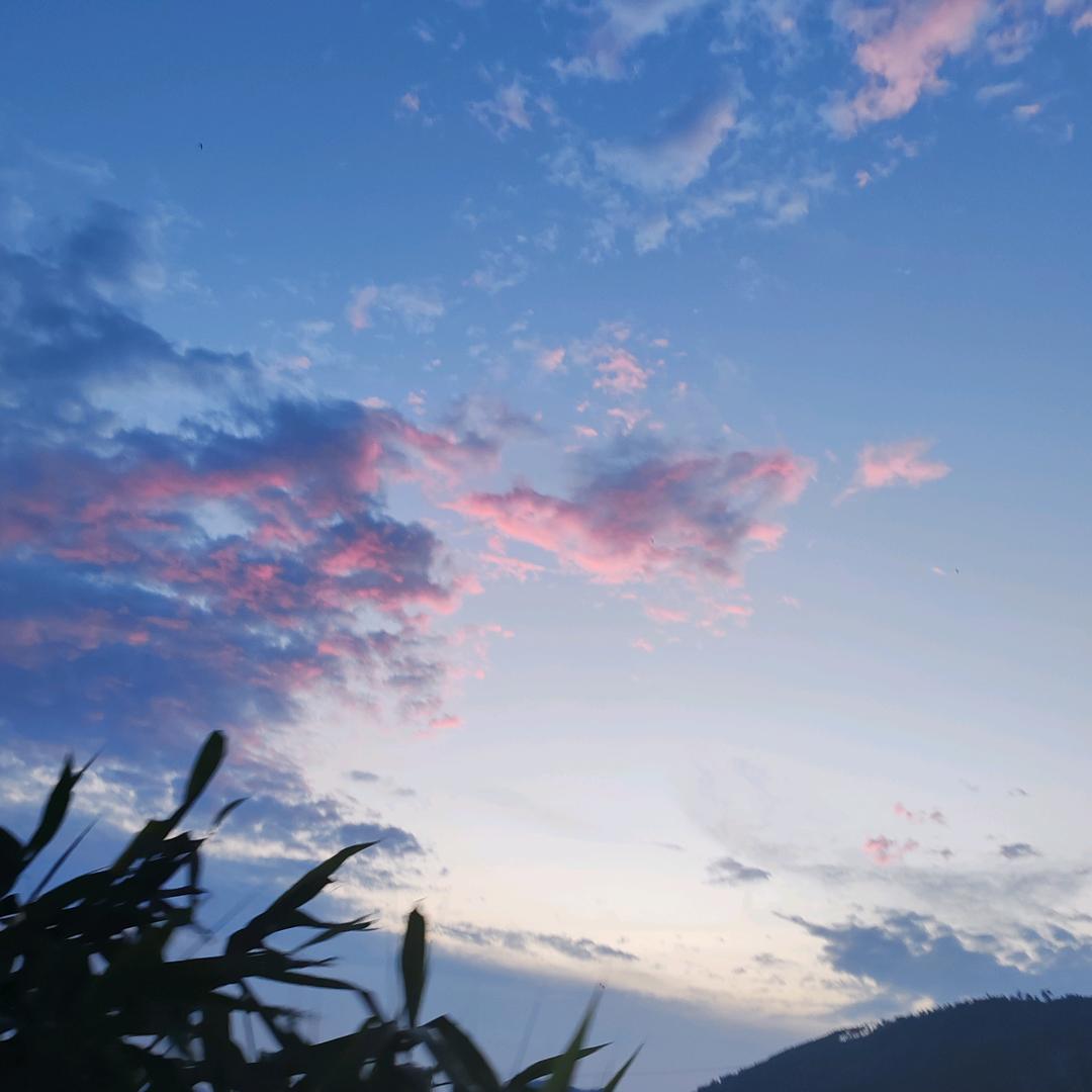 月明
