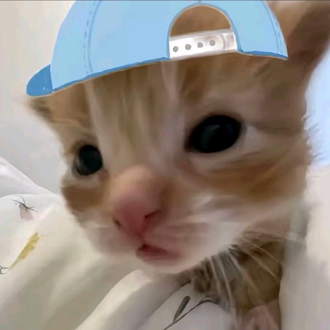 冷脸萌