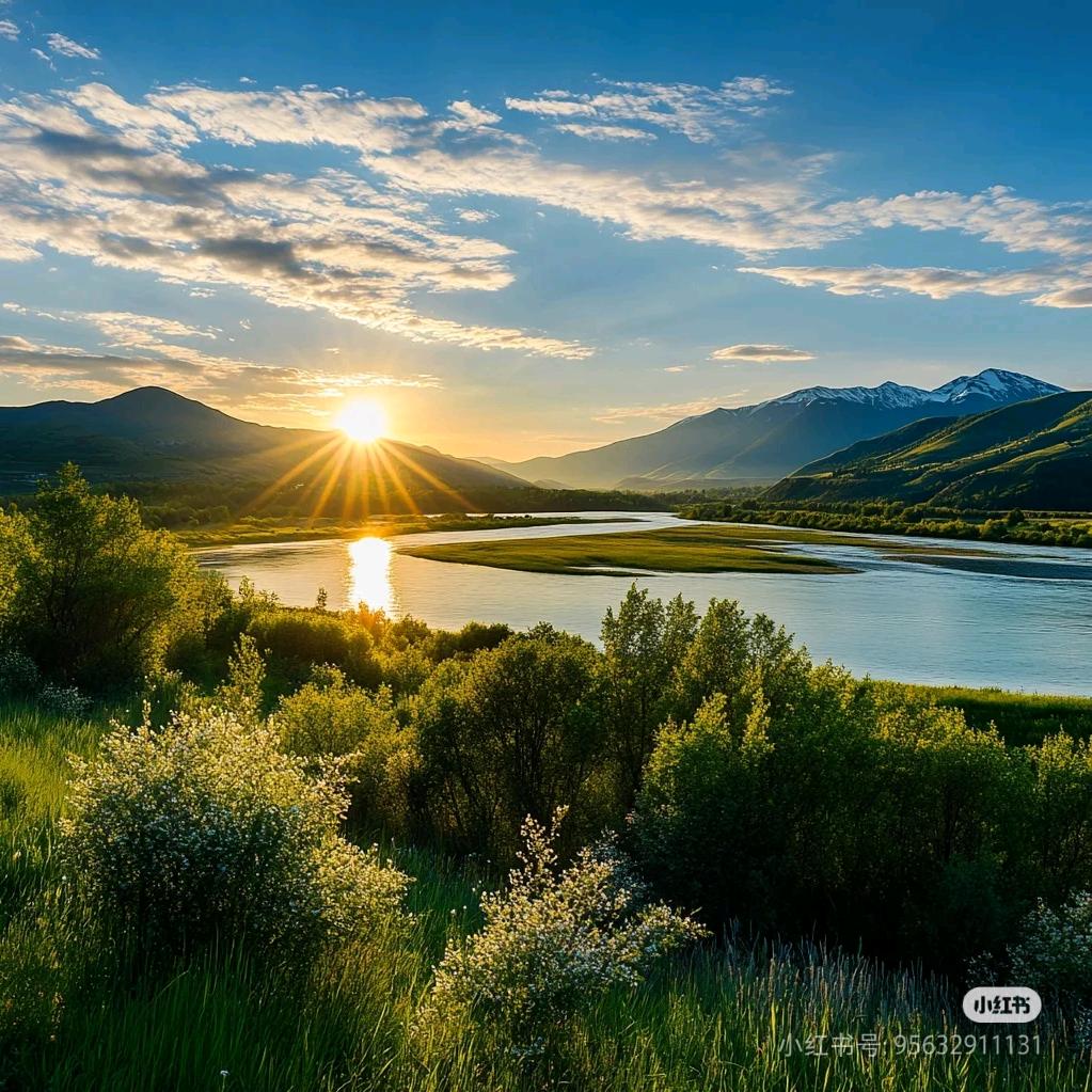海康宠医 王善冬