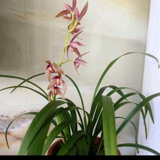 园艺生活优品店