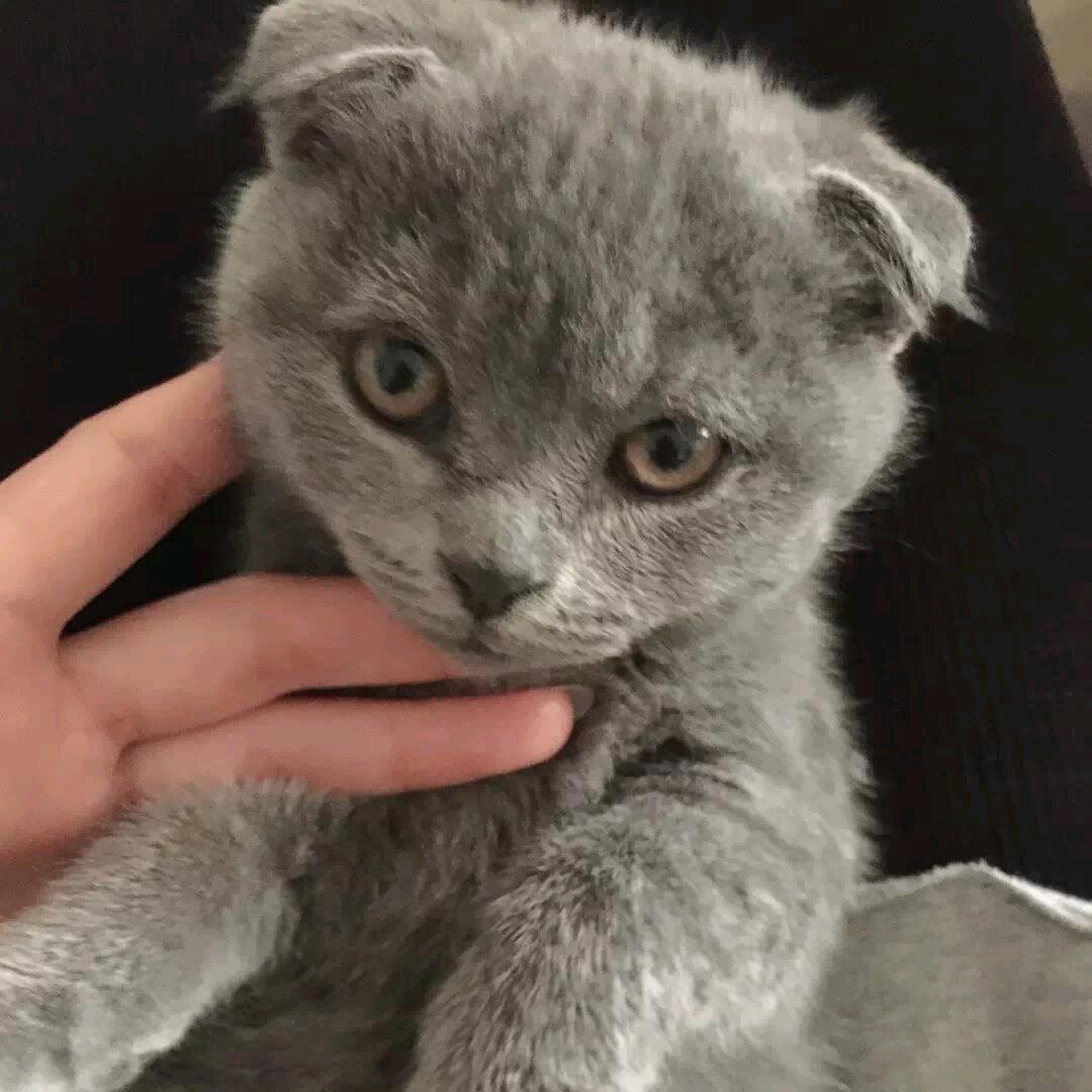 妙妙🌈🌈