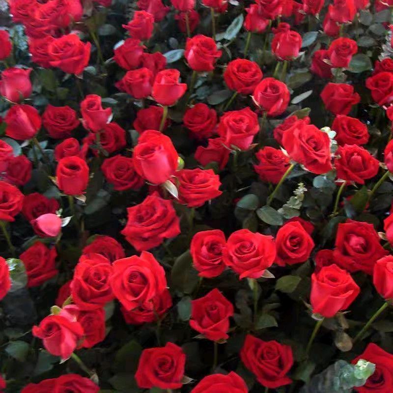 爱种花