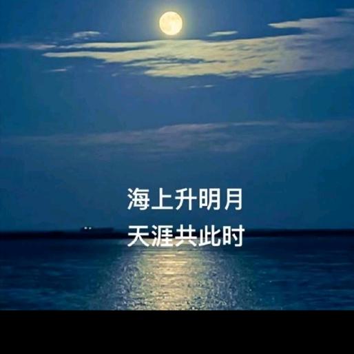 ঠᩚ᭄天涯💕明月᭨ᮩ໊࿐