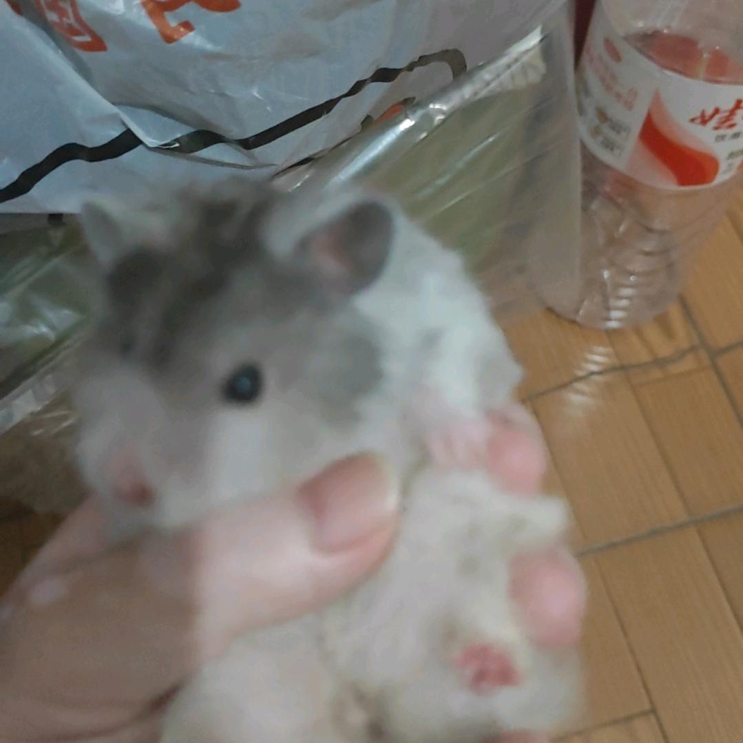 逆吧