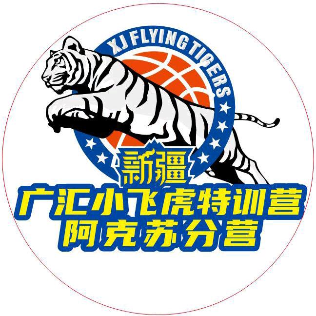 阿克苏小飞虎篮球训练营
