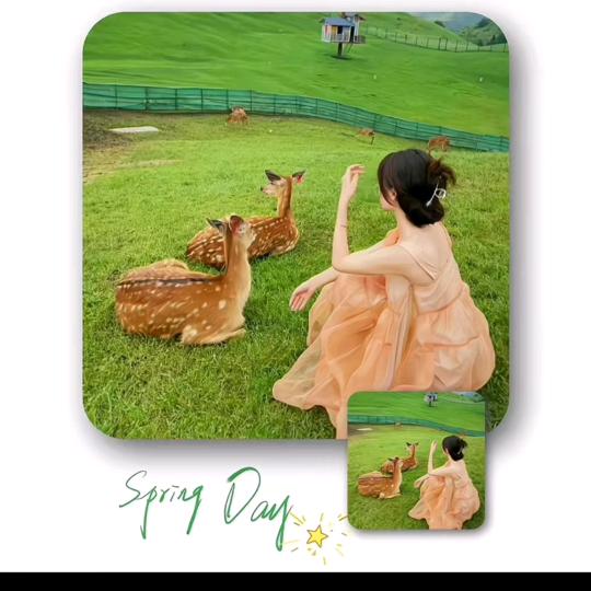 🎶是兰宝呀💞