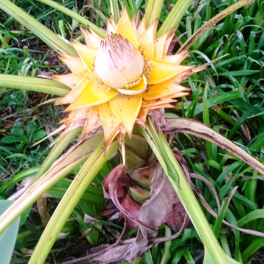 幸福一生- ̗̀(๑ᵔ⌔ᵔ๑)